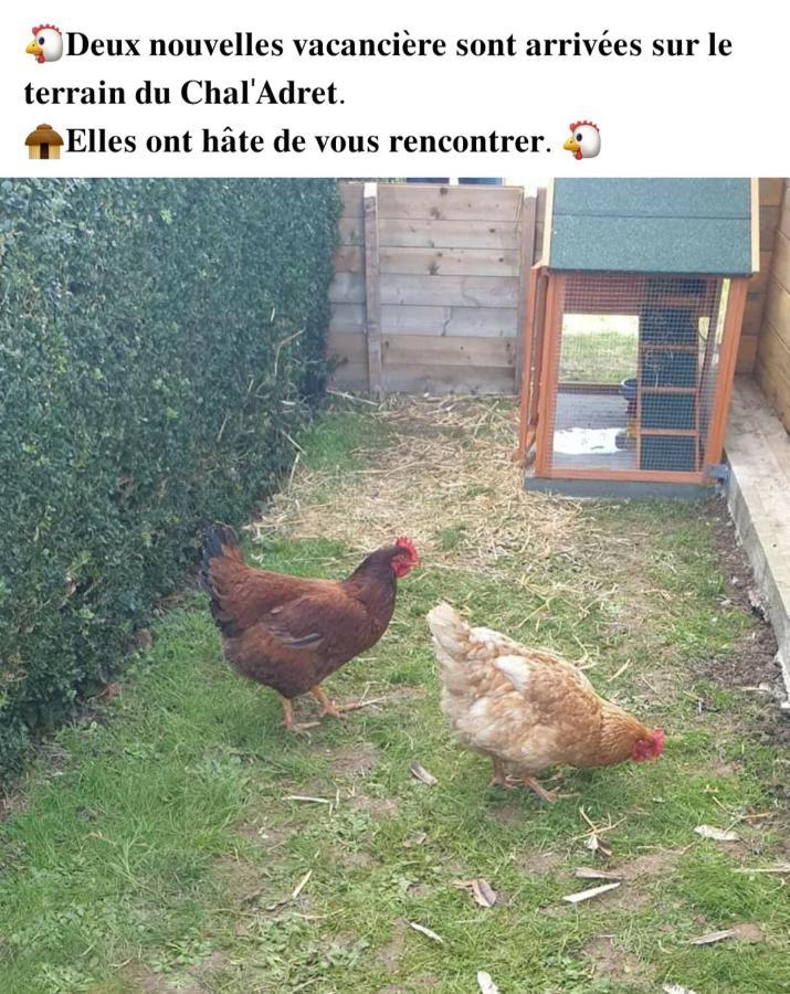 Le Chal Adret